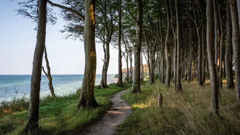 Trek Marlin w Gdyni — serwis, szosa i wypożyczalnia e‑rowerów